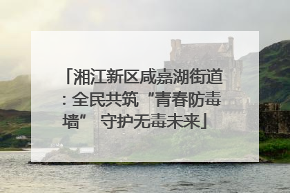 湘江新区咸嘉湖街道：全民共筑“青春防毒墙” 守护无毒未来